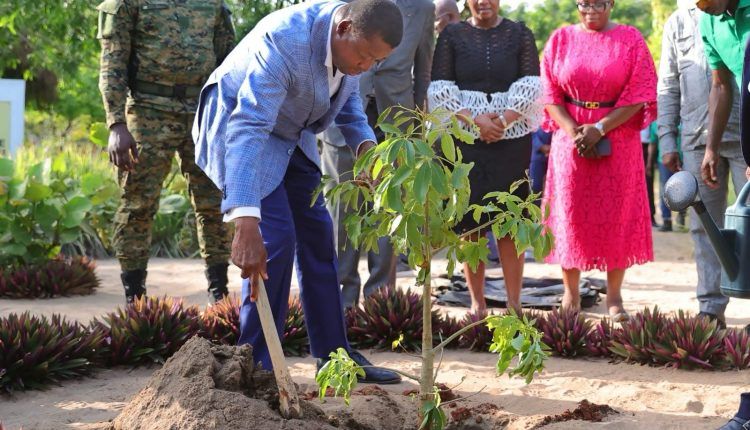 Journée nationale de l’arbre 2026 : le gouvernement lance la campagne à Aképé